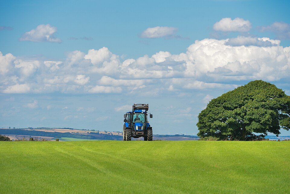UK urged to ban imports of Brazilian meat over health concerns