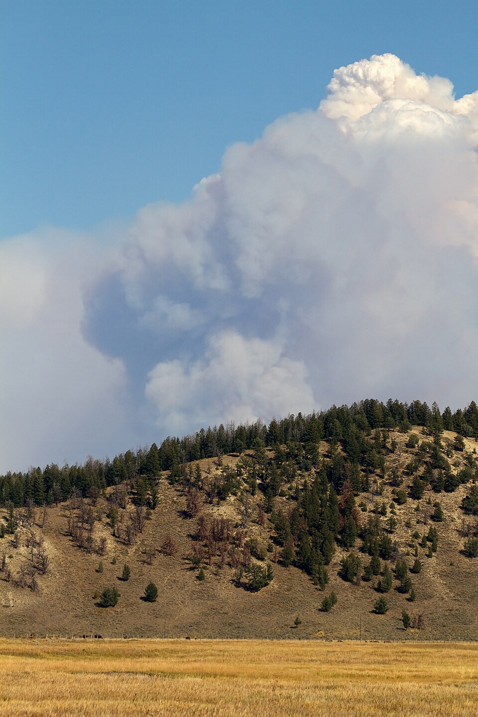 Europe’s wildfires: How prepared are we for the next fire?