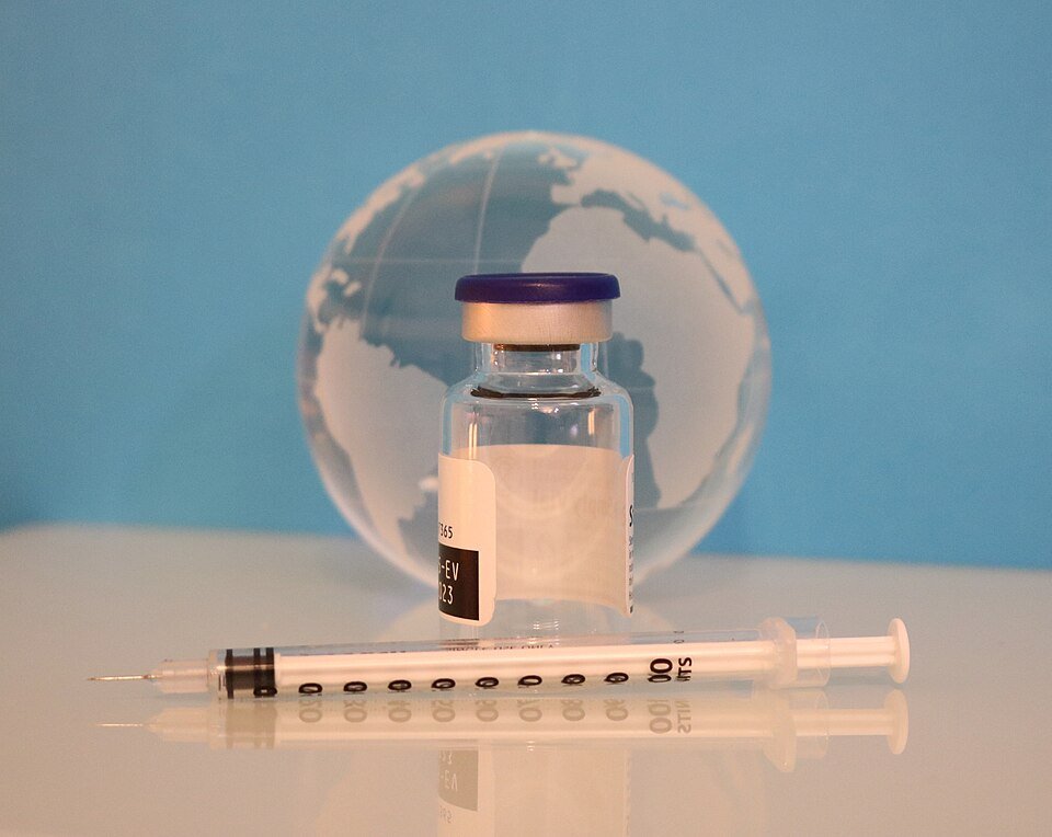 Ebola outbreak caused by new ‘animal transmission’: What that means