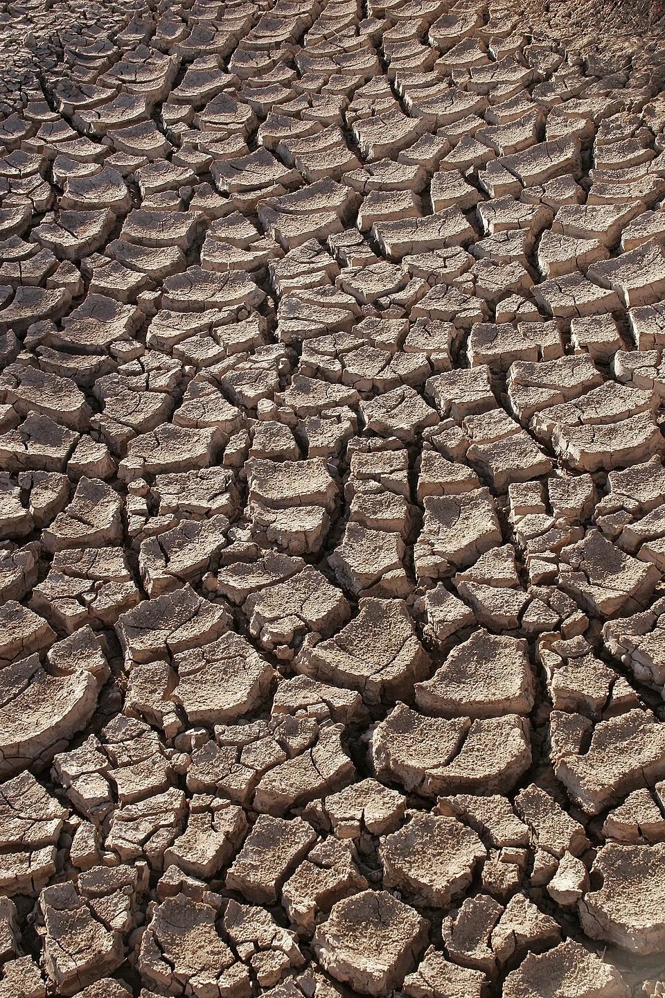 Record Heatwave Grips Multiple Continents, Straining Power Grids