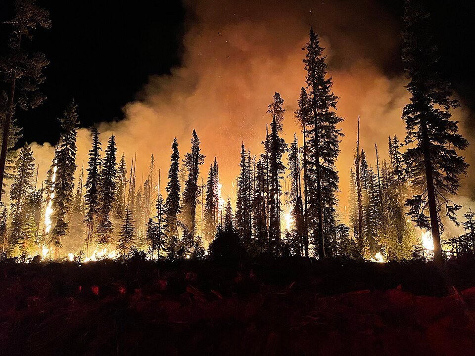 Emergency declared in Nevada as wildfire forces evacuation of 14,000 people